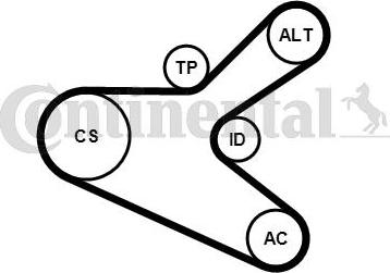 Continental CTAM 6PK1153K2 - Ozubený klinový remeň - Sada parts5.com