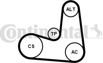 Continental CTAM 6PK1180K5 - V-Ribbed Belt Set parts5.com