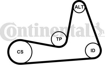 Continental CTAM 6PK1130K1 - Zestaw paska klinowego wielorowkowego parts5.com