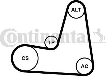 Continental CTAM 6PK1130K2 - Hosszbordás szíj készlet parts5.com