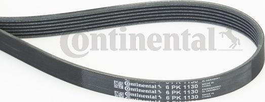 Continental CTAM 6PK1130 - Correa trapecial poli V parts5.com