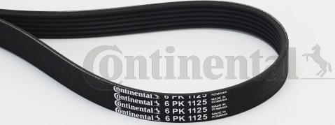 Continental CTAM 6PK1125 - Ozubený klinový remeň parts5.com