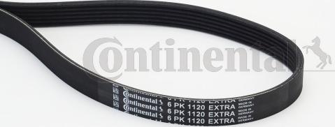 Continental CTAM 6PK1120 EXTRA - Curea transmisie cu caneluri parts5.com