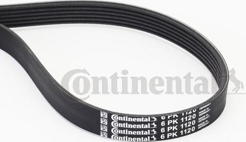 Continental CTAM 6 PK 1120 - Ozubený klinový remeň parts5.com