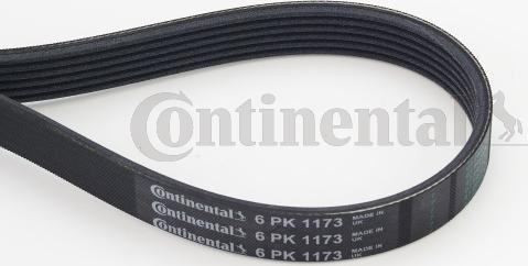 Continental CTAM 6PK1173 - Keilrippenriemen parts5.com