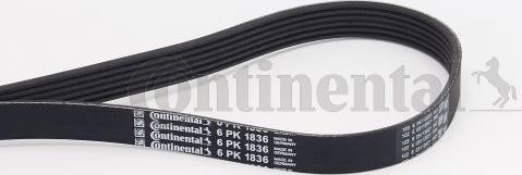 Continental CTAM 6 PK 1836 - Courroie trapézoïdale à nervures parts5.com