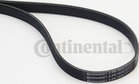 Continental CTAM 6PK1873 - V-Ribbed Belt parts5.com