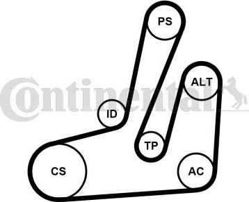 Continental CTAM 6PK1390K1 - Kanallı V kayışı seti parts5.com