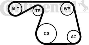 Continental CTAM 6PK1310K1 - Juego de correas trapeciales poli V parts5.com