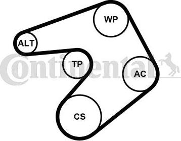 Continental CTAM 6PK1244K1 - Juego de correas trapeciales poli V parts5.com