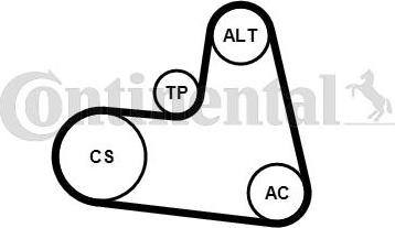 Continental CTAM 6PK1217K1 - Juego de correas trapeciales poli V parts5.com