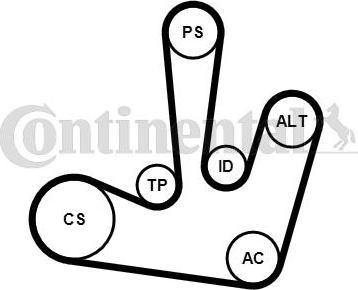 Continental CTAM 6PK1795K1 - Hosszbordás szíj készlet parts5.com