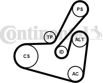 Continental CTAM 6PK1750K1 - Zestaw paska klinowego wielorowkowego parts5.com