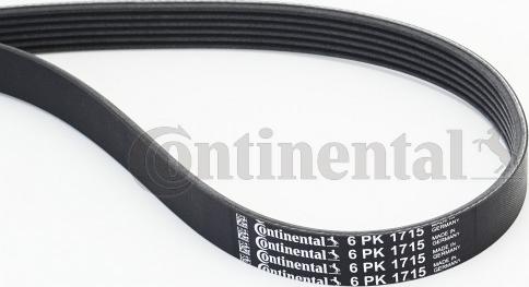 Continental CTAM 6PK1715 - Ιμάντας poly-V parts5.com