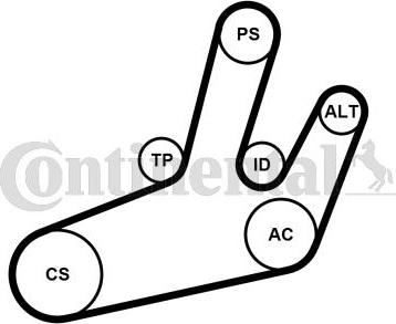 Continental CTAM 6PK1780K1 - V-Ribbed Belt Set parts5.com