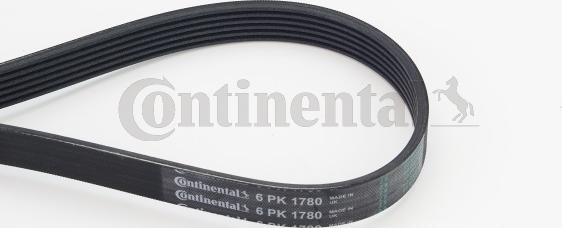 Continental CTAM 6 PK 1780 - Ozubený klínový řemen parts5.com