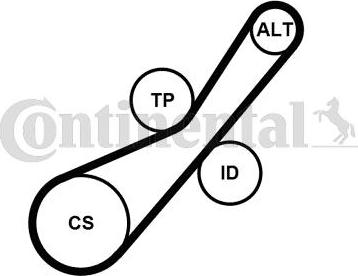 Continental CTAM 6PK800K2 - Moniurahihnasarja parts5.com