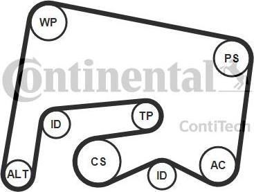 Continental CTAM 6PK2155K1 - Garnitura klinastog rebrastog kaiša parts5.com