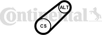 Continental CTAM 6 PK 799 ELAST - Curea transmisie cu caneluri parts5.com