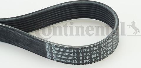 Continental CTAM 8PK954 EXTRA - Correa trapecial poli V parts5.com