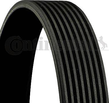 Continental CTAM 8 PK 1955 - V-Ribbed Belt parts5.com