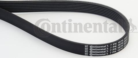 Continental CTAM 7 PK 1970 - Klinasti rebrasti kaiš parts5.com