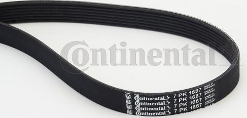 Continental CTAM 7 PK 1687 - Courroie trapézoïdale à nervures parts5.com