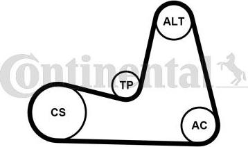 Continental CTAM 7PK1035K1 - Kanallı V kayışı seti parts5.com