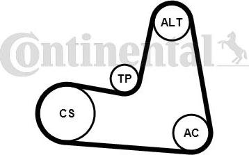 Continental CTAM 7PK1125K1 - Juego de correas trapeciales poli V parts5.com