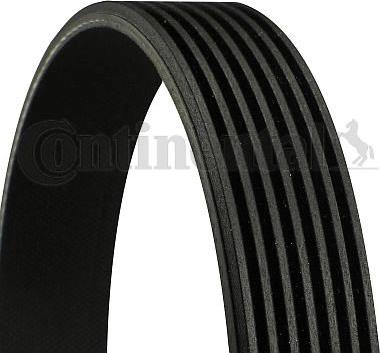 Continental CTAM 7 PK 2045 - V-Ribbed Belt parts5.com