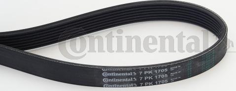 Continental CTAM 7 PK 1705 - Ozubený klínový řemen parts5.com