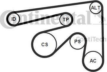 Continental CTAM 7PK2061K1 - V-Ribbed Belt Set parts5.com