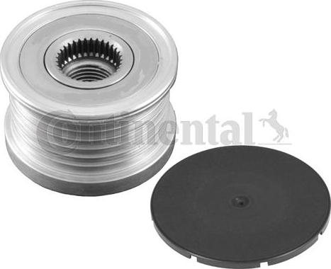 Continental CTAM AP9008 - Rihmaratas,generaator parts5.com