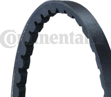 Continental CTAM AVX10X825 - Τραπεζοειδής ιμάντας parts5.com