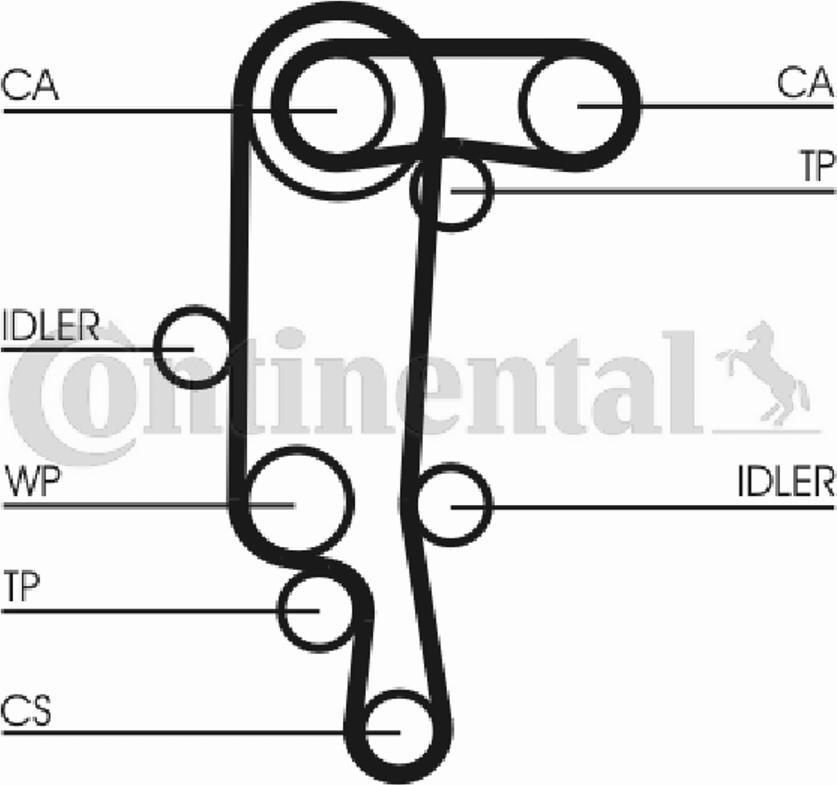 Continental CTAM CT957 - Curea de distributie parts5.com