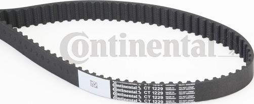 Continental CTAM CT 1229 - Timing Belt parts5.com