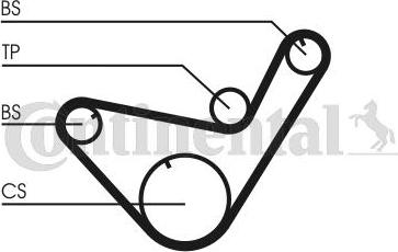 Continental CTAM CT 714 - Timing Belt parts5.com