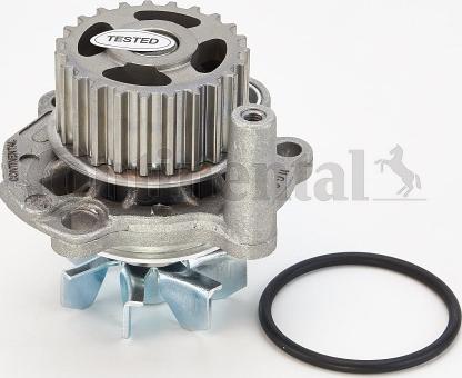 Continental CTAM WP 6041 - Wasserpumpe parts5.com