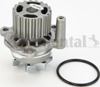 Continental CTAM WP6003 - Wasserpumpe parts5.com