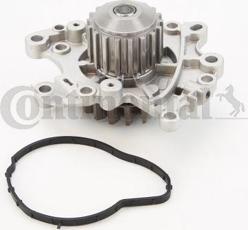 Continental CTAM WP6136 - Pompa apa parts5.com