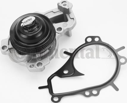 Continental CTAM WPS3135 - Pompa apa parts5.com