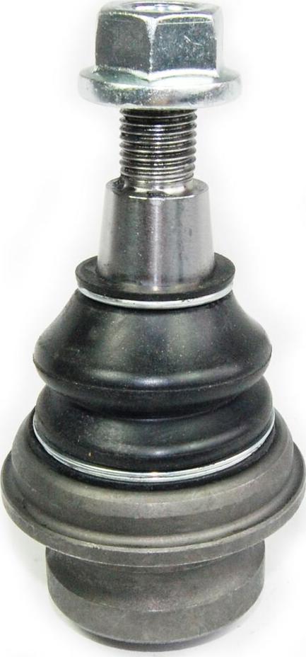 Corteco 49120348 - Pallonivel parts5.com