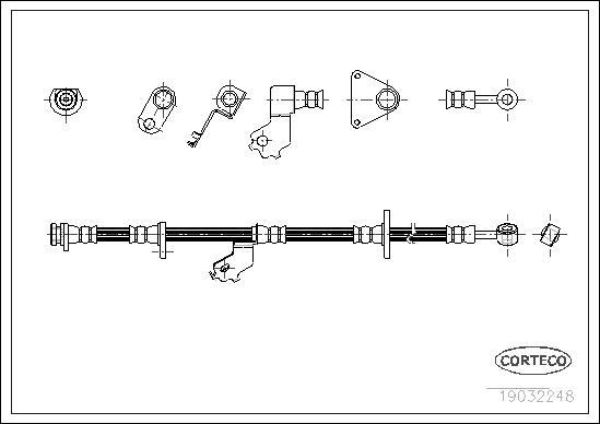 Corteco 19032248 - Tubo flexible de frenos parts5.com