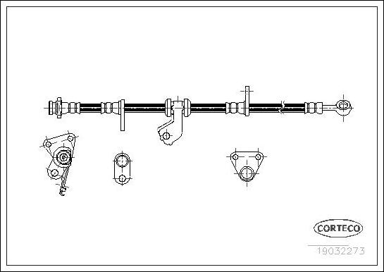 Corteco 19032273 - Furtun frana parts5.com