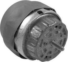 Corteco 80004297 - Suport motor parts5.com