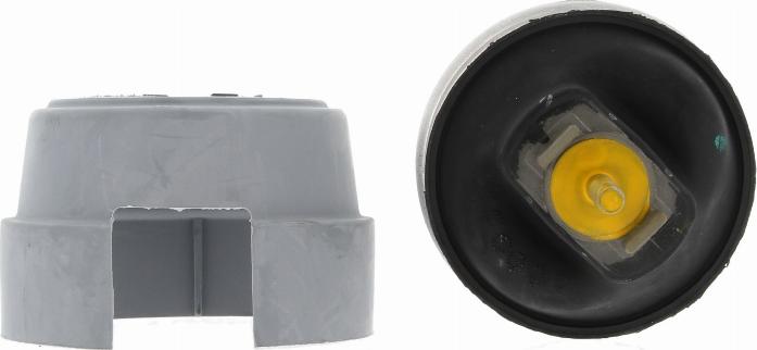 Corteco 80005233 - Uležištenje, motor parts5.com