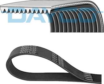 Dayco 12PK1300HD - V-Ribbed Belt parts5.com