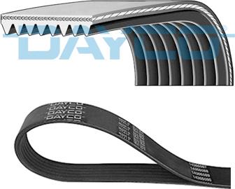 Dayco 8PK1655HD - Kanallı V kayışı parts5.com