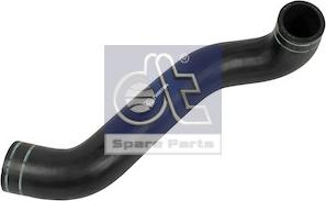 DT Spare Parts 4.80824 - Radiator Hose parts5.com