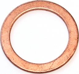 Elring 119.407 - Seal Ring parts5.com